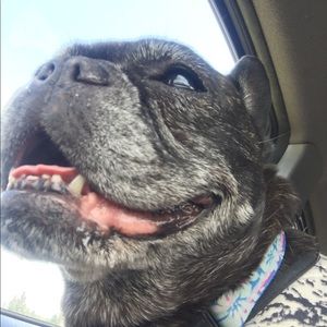 Meet your Posher, Kathryn